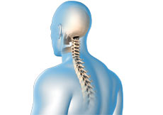 Complex Spinal Surgery