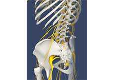 Lumbar Facet Block